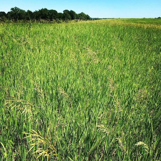 Driftless Region  #photography #wisconsin #driftless