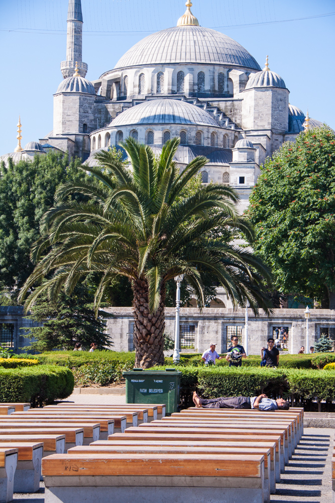 20110816-IMG_7642.jpg