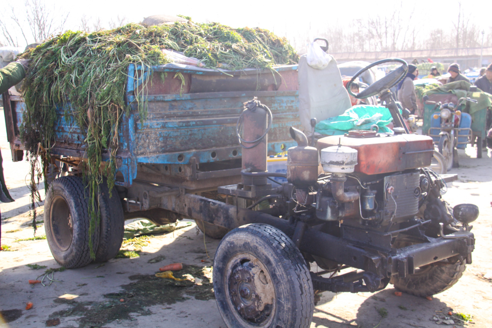 20091114-daxingweeddumptruck copy.jpg