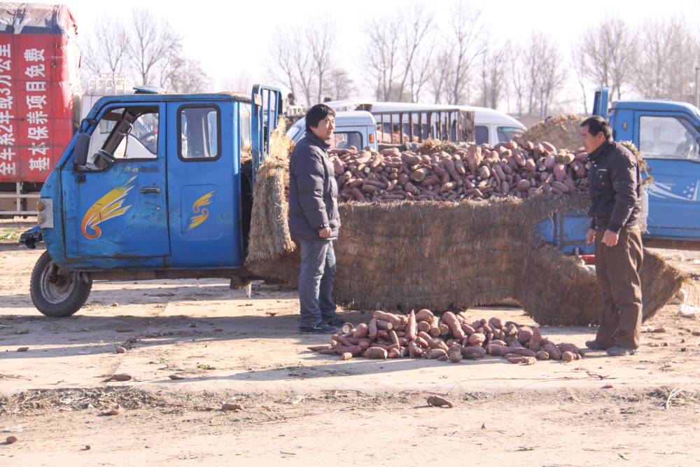 20091114-IMG_2525.jpg