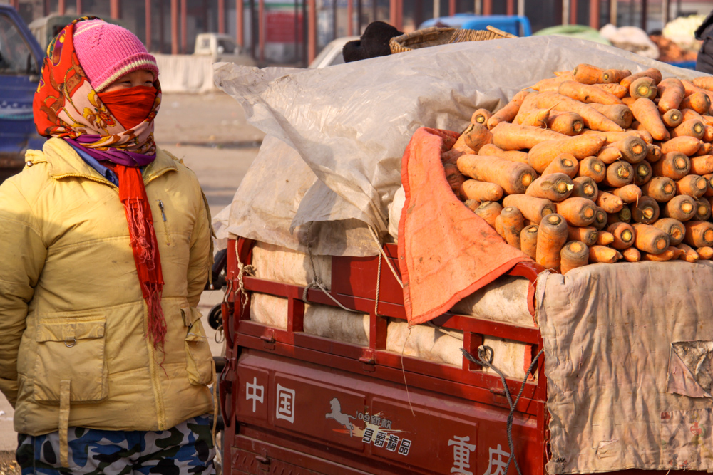 20091212-daxingscarffacecarrotwoman copy.jpg