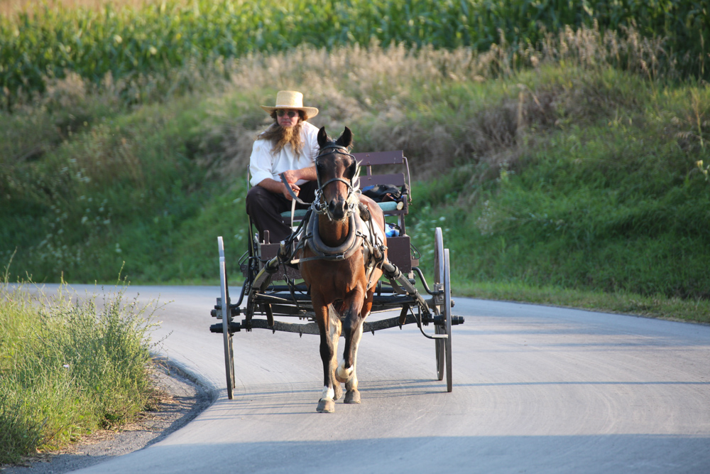 20150829-DD1A0159 copy.jpg