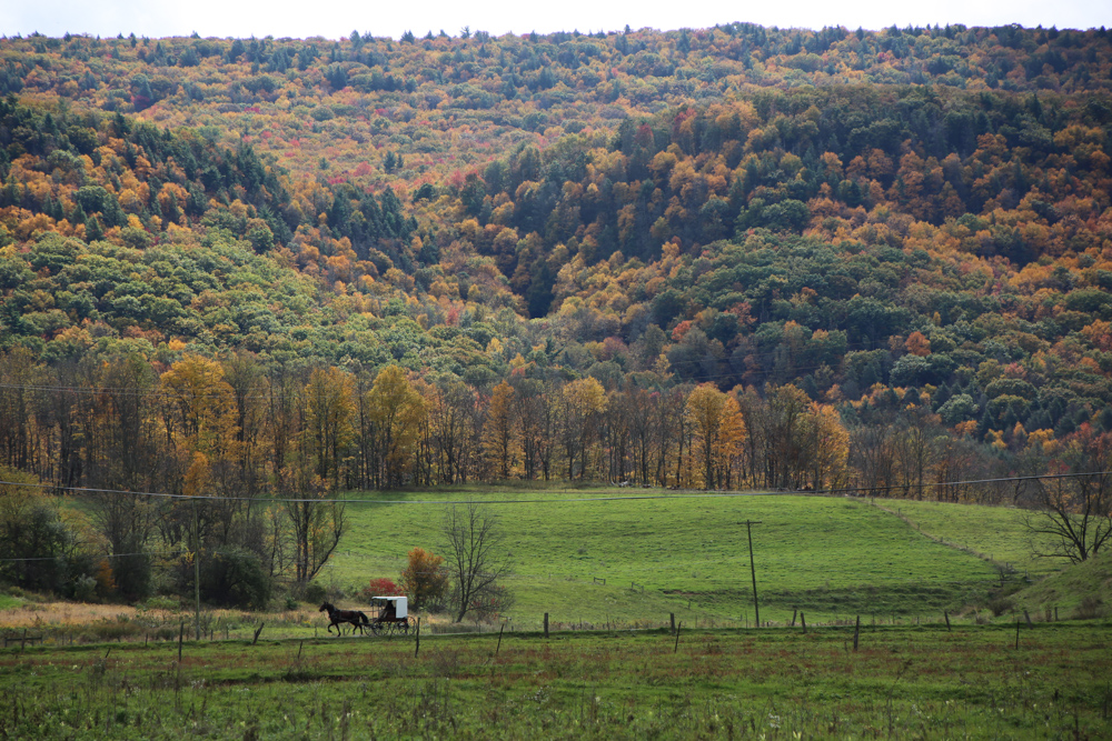 20151016-DD1A0598 copy.jpg