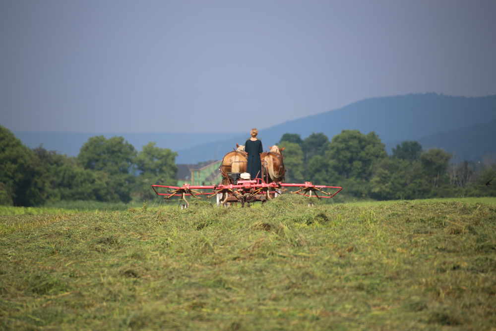 20180806-DD1A7624 copy.jpg
