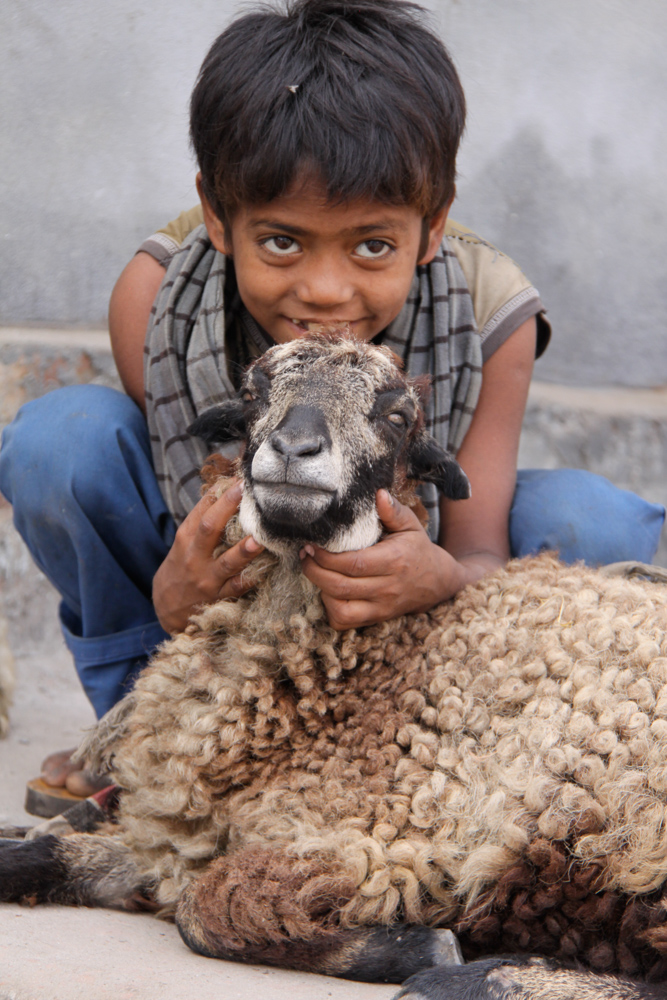 20091217-dhakasheepboyvert copy.jpg