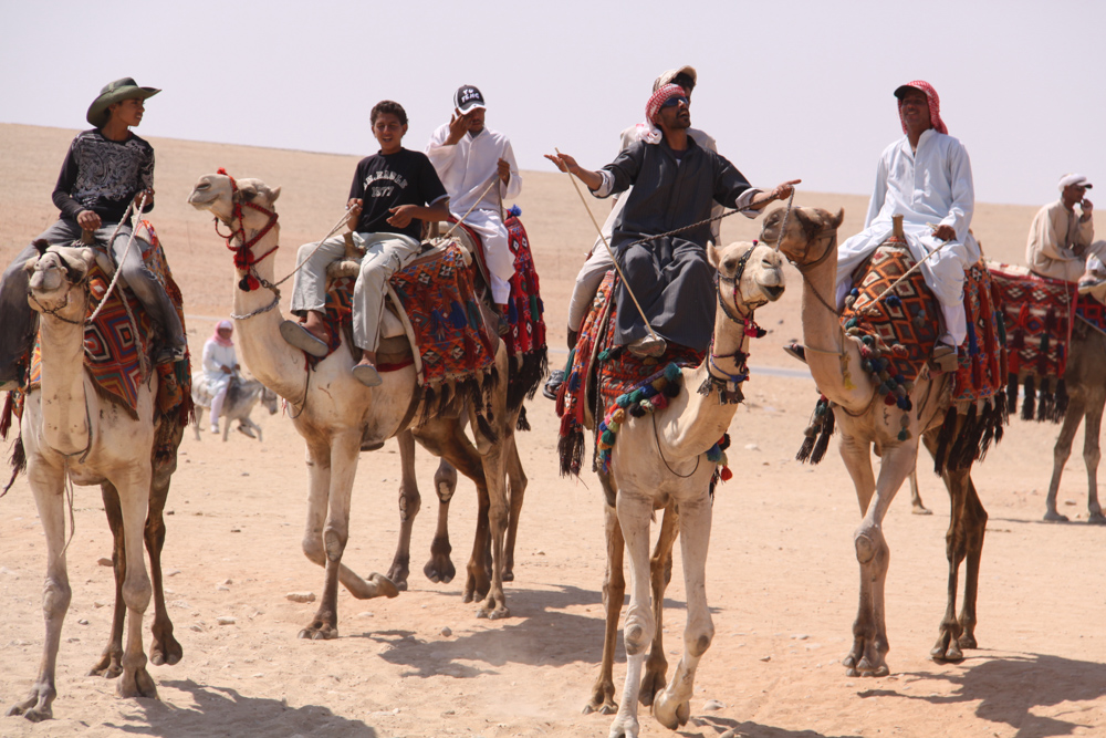 20110820-egycamelgang copy.jpg