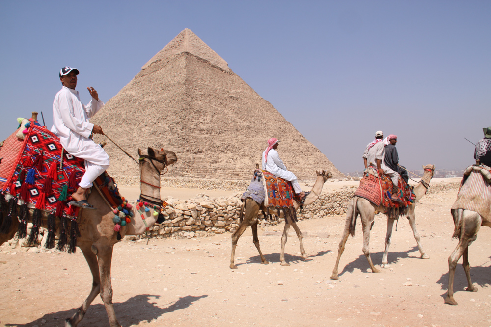 20110820-egycamelgangside copy 2.jpg