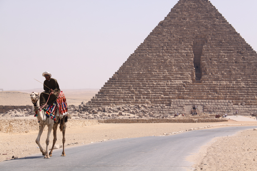 20110820-egycamelroadwalker copy.jpg