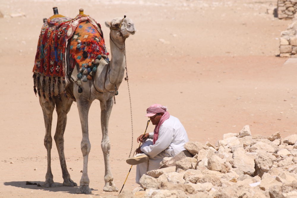 20110820-egycamelrockwallhor2 copy.jpg