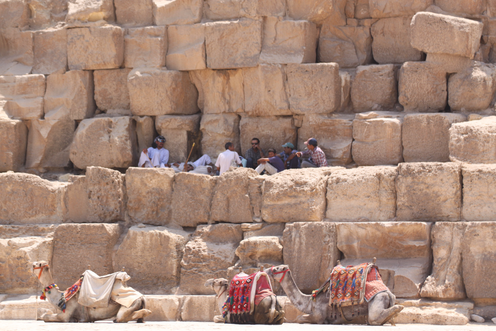 20110820-egylazycameldudes copy.jpg