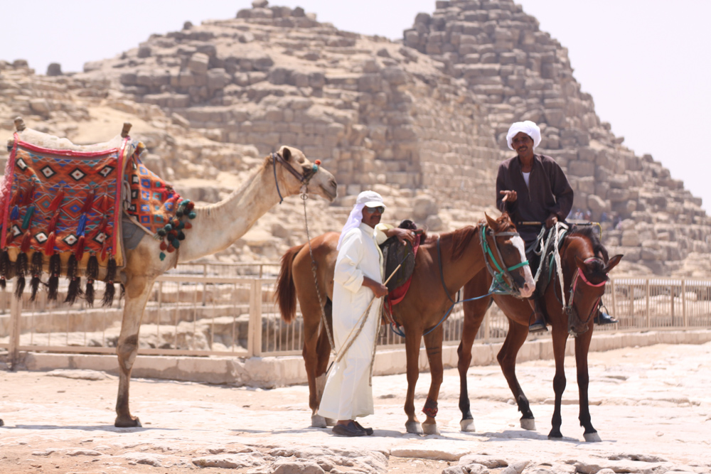 20110820-egyoutstretchedhandman copy.jpg