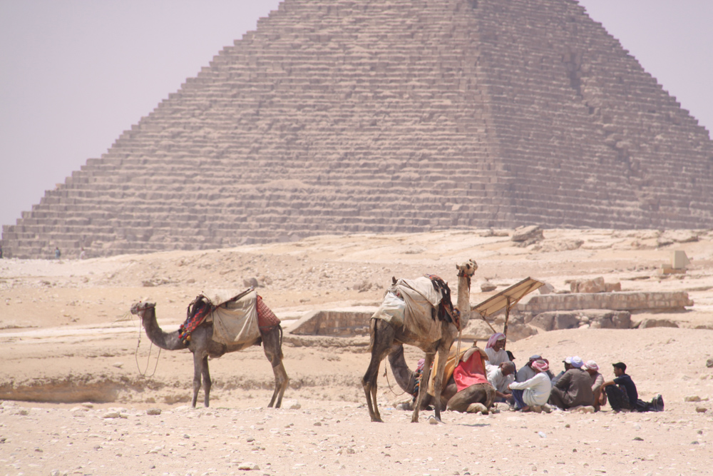 20110820-egypyrcamelmeeting copy.jpg