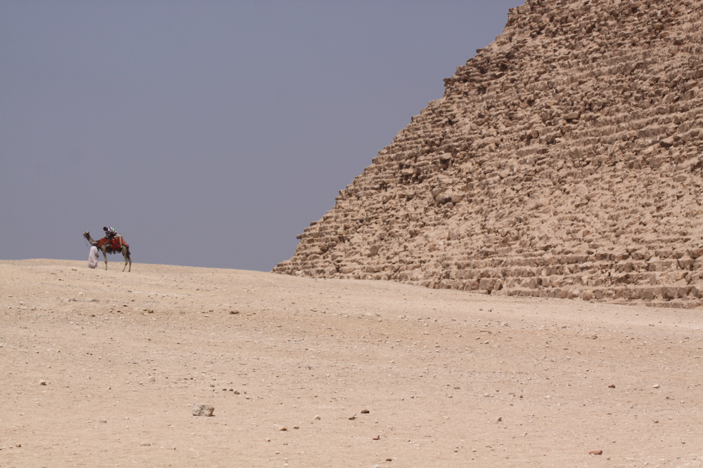 20110820-egypyrcamelzoom copy.jpg