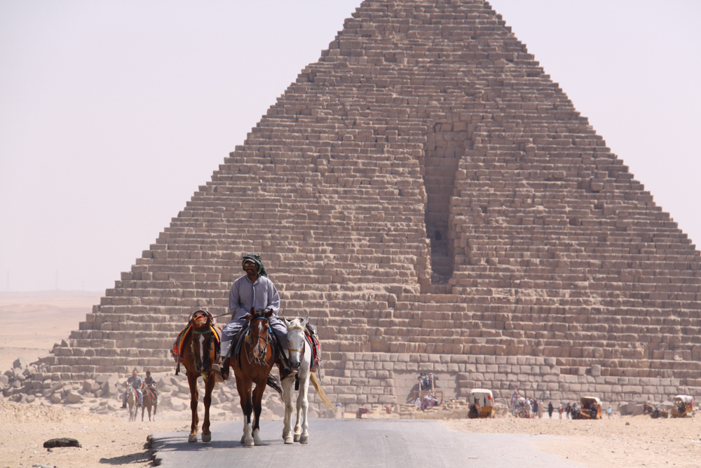 20110820-egypyrdonkeywalkerhor copy.jpg