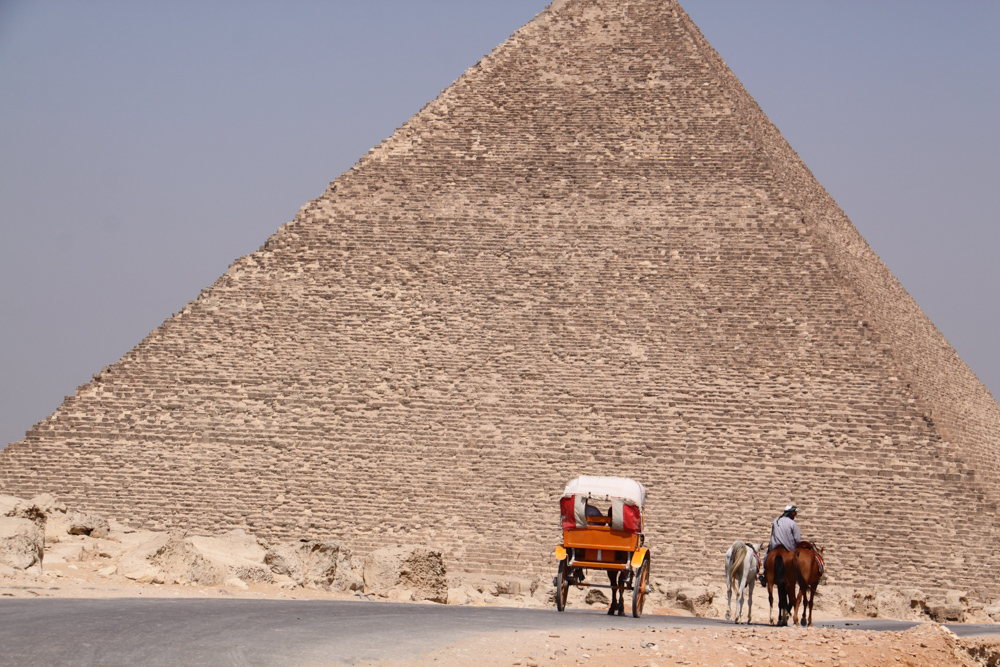 20110820-egypyrdonkeycarriagefrombehind copy.jpg
