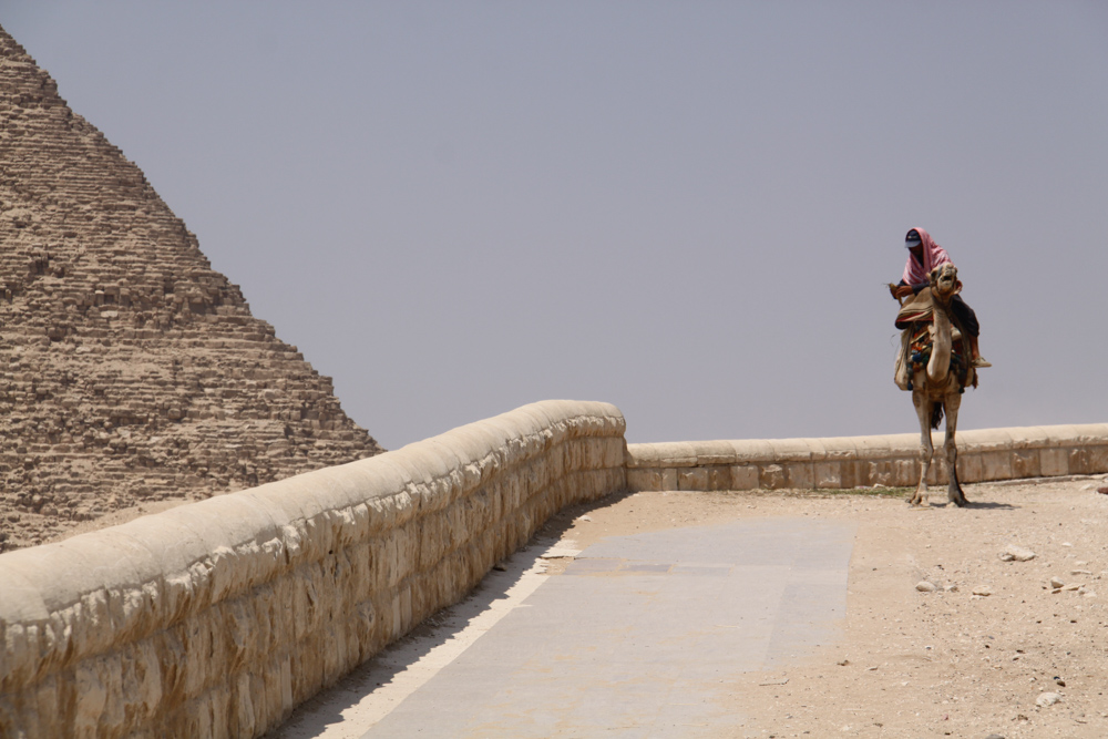 20110820-egyroadsidecamelpyramid.jpg