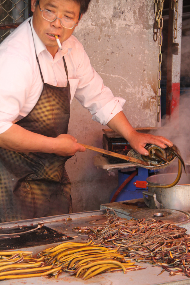 20120427-shasnakescooper copy.jpg