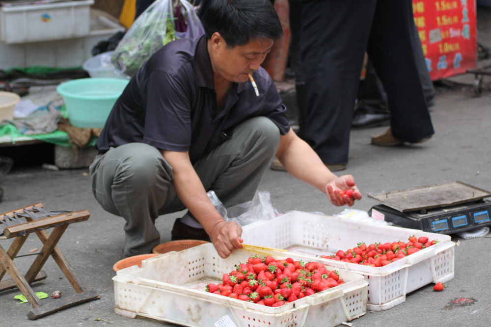 20120429-shastrawberrysmoker.jpg