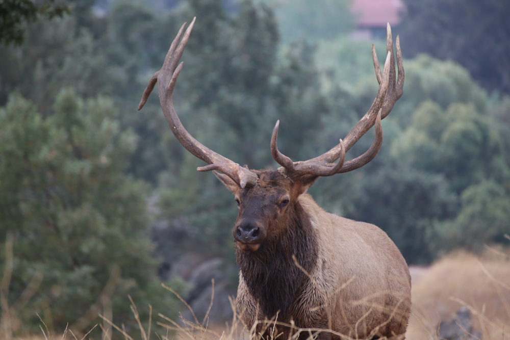 20181005-DD1A7977 copy.jpg