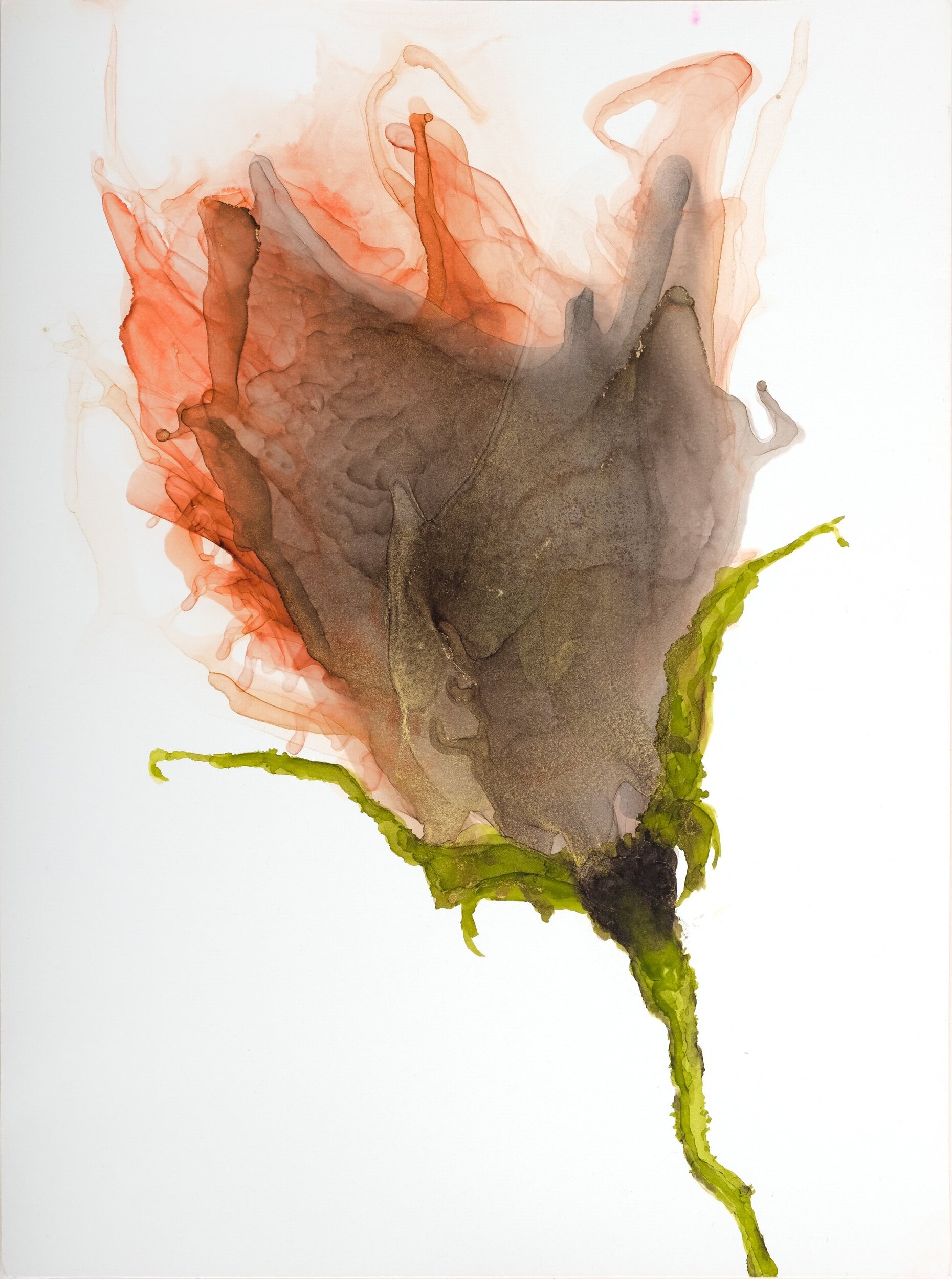 Floral No. 8