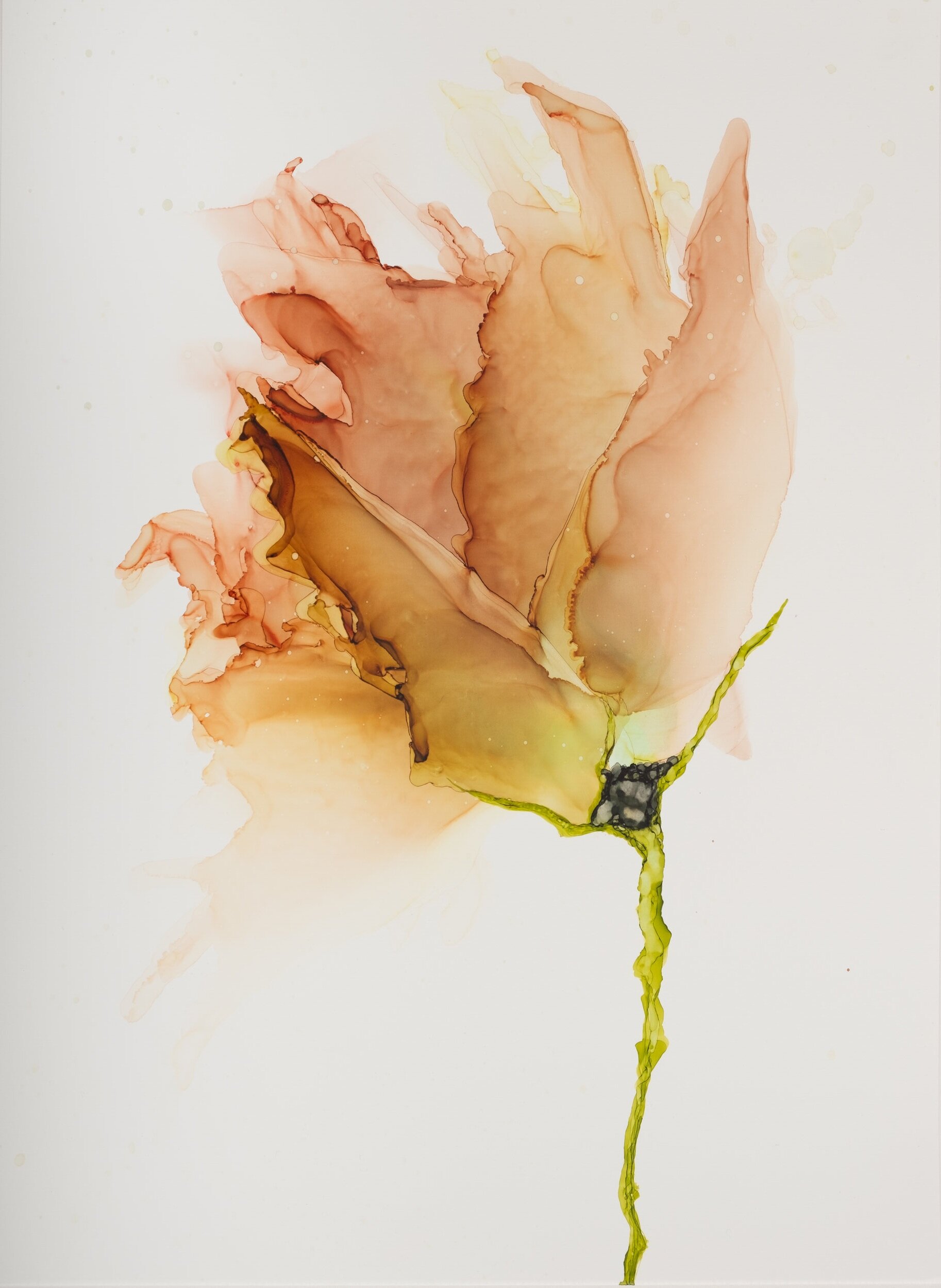 Floral No. 18