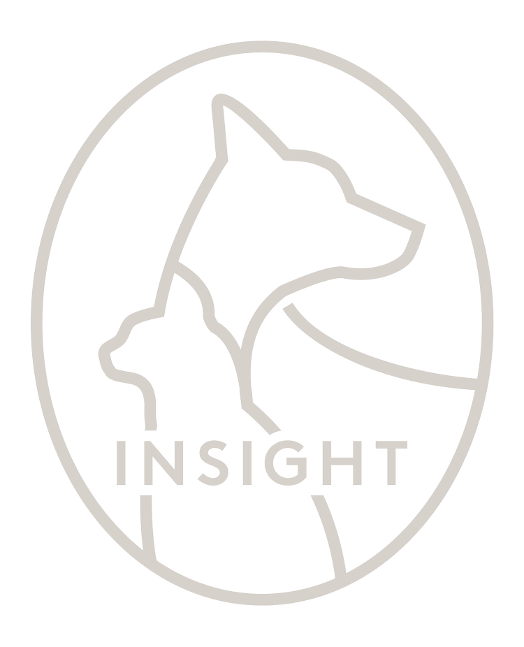 Insight