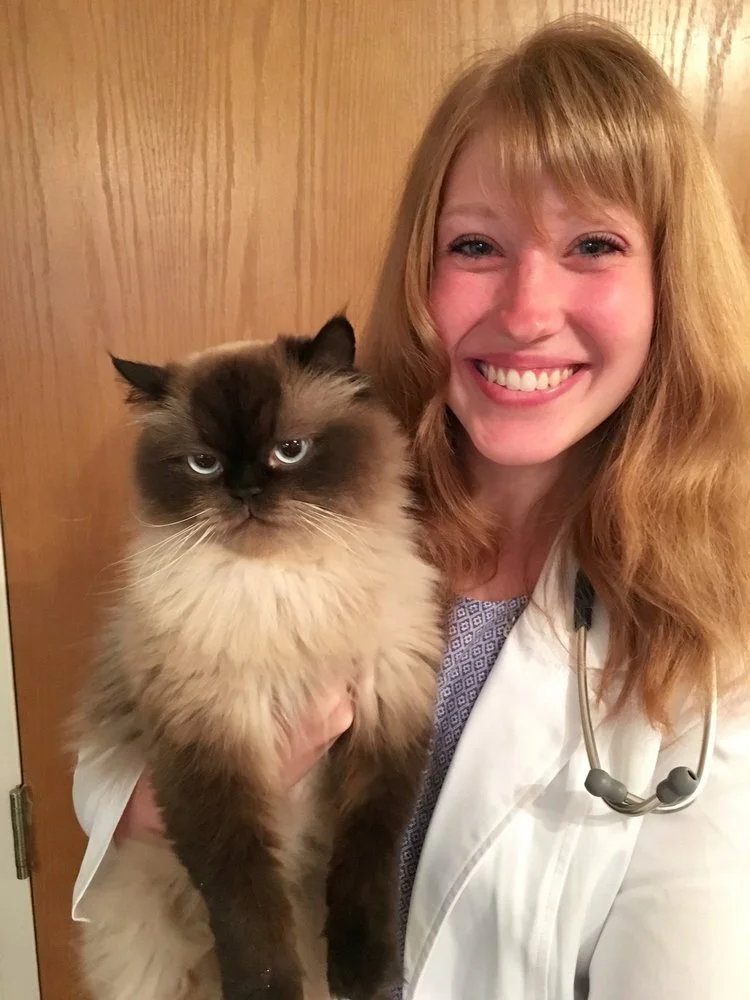 Dr. Kristin Kuntz — Insight