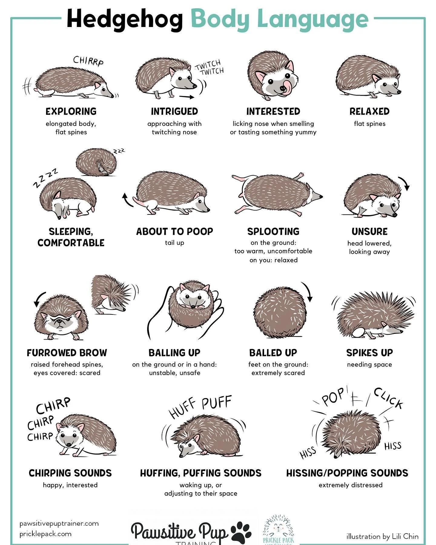 Understanding how another species communicates is a crucial step in building a positive and respectful relationship with them.  Many animals use body language to communicate how they are feeling, but we humans don't always understand those signals or