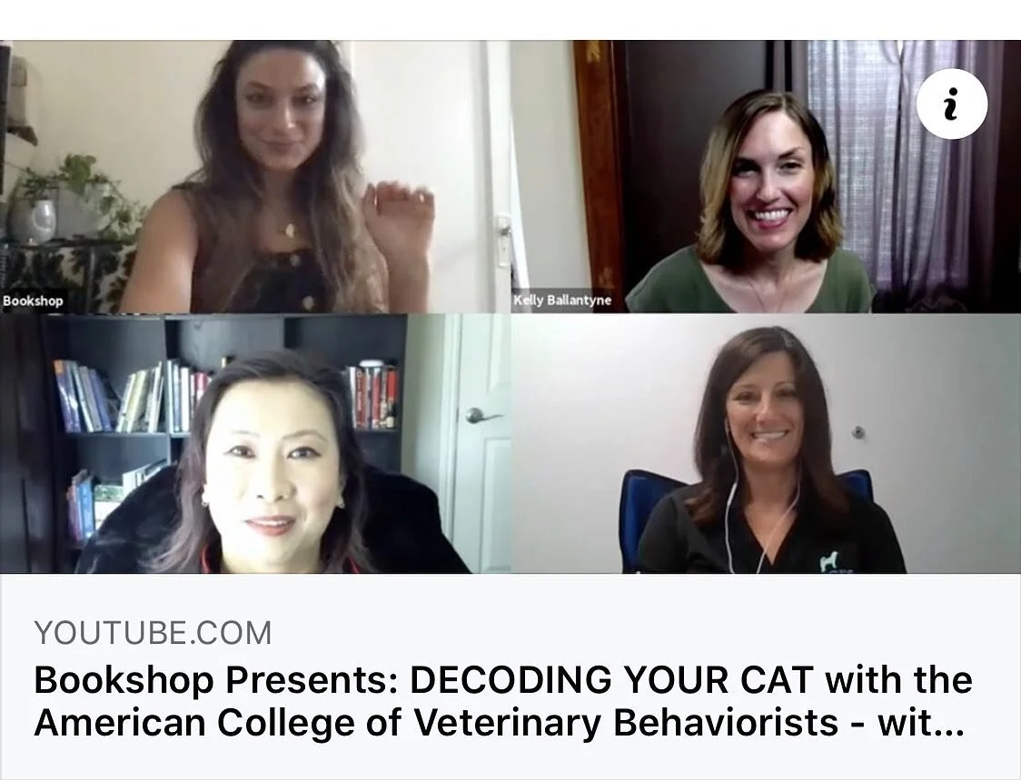 In case you missed the live event, the Bookshop Decoding Your Cat Q&amp;A event with @drwsung Dr. Herron of @gigisfordogs and me is now on YouTube. We answer all your cat behavior questions! Link in bio. #catbehavior #decodingyourcat #vetbehavior #da
