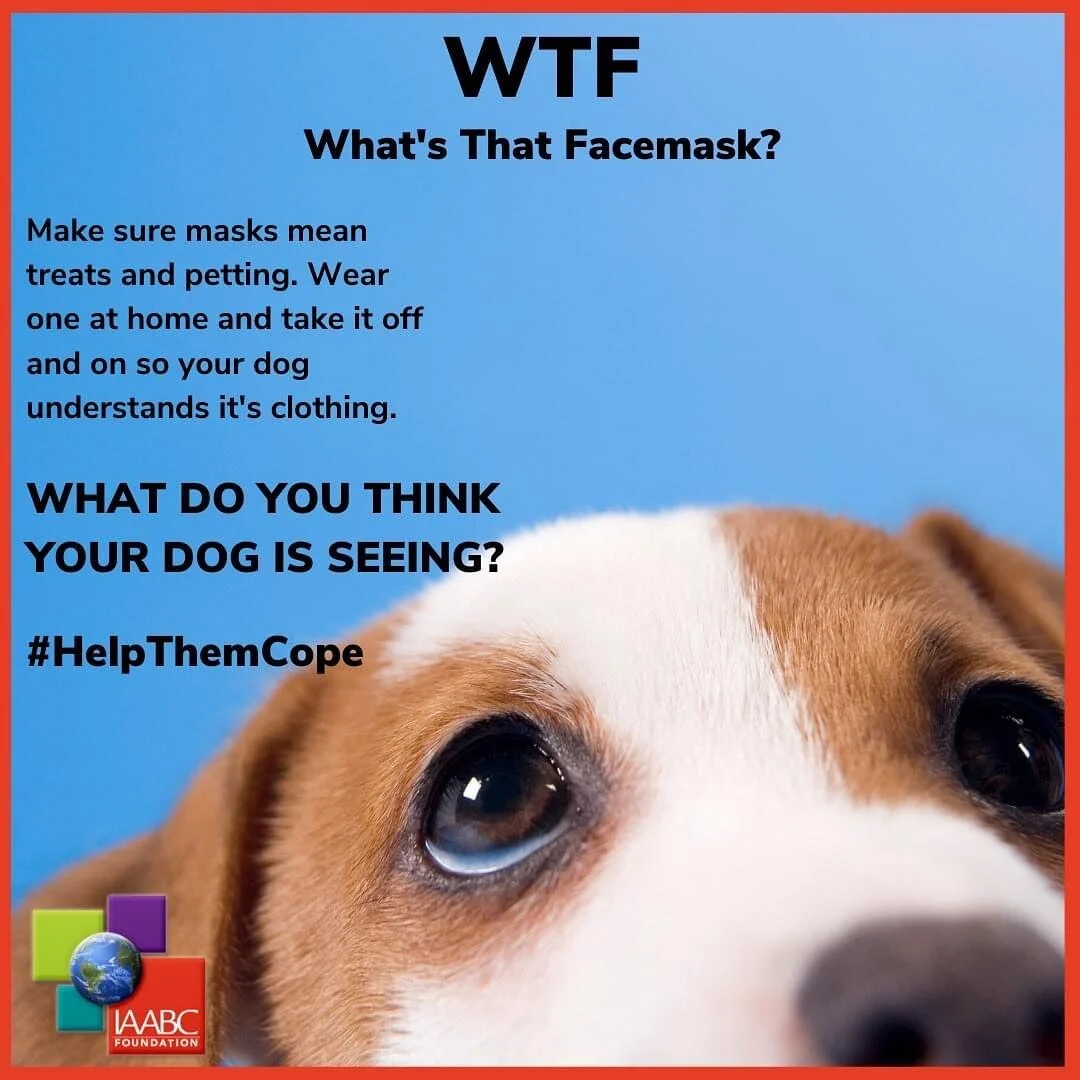 As we work to cope with our new normal, we need to do the same for the pets in our lives. #helpthemcope