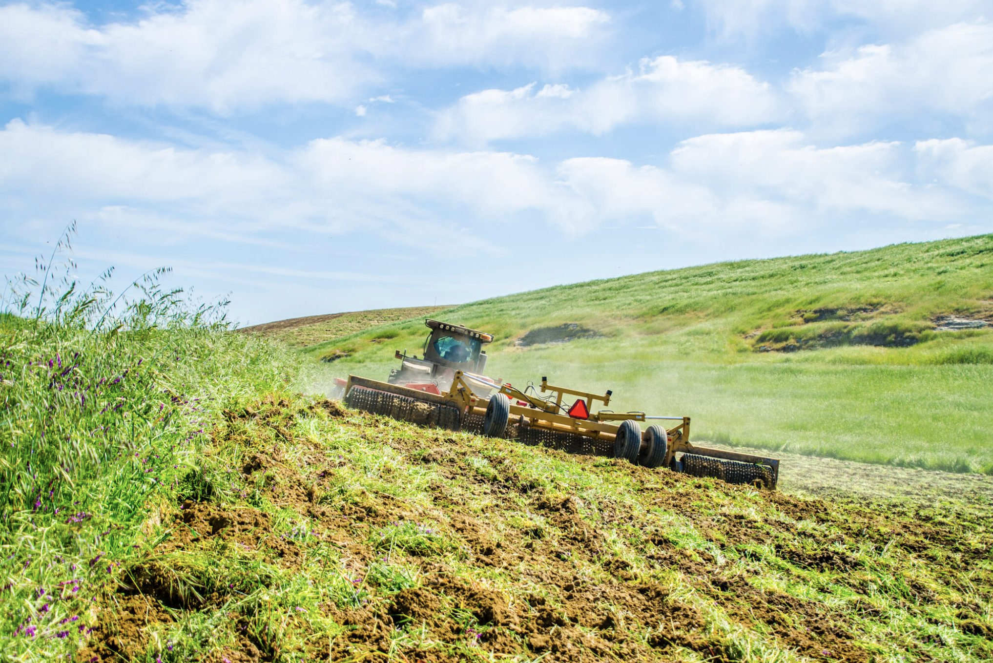 Screen Shot 2018-11-13 at 8.58.15 PM.png