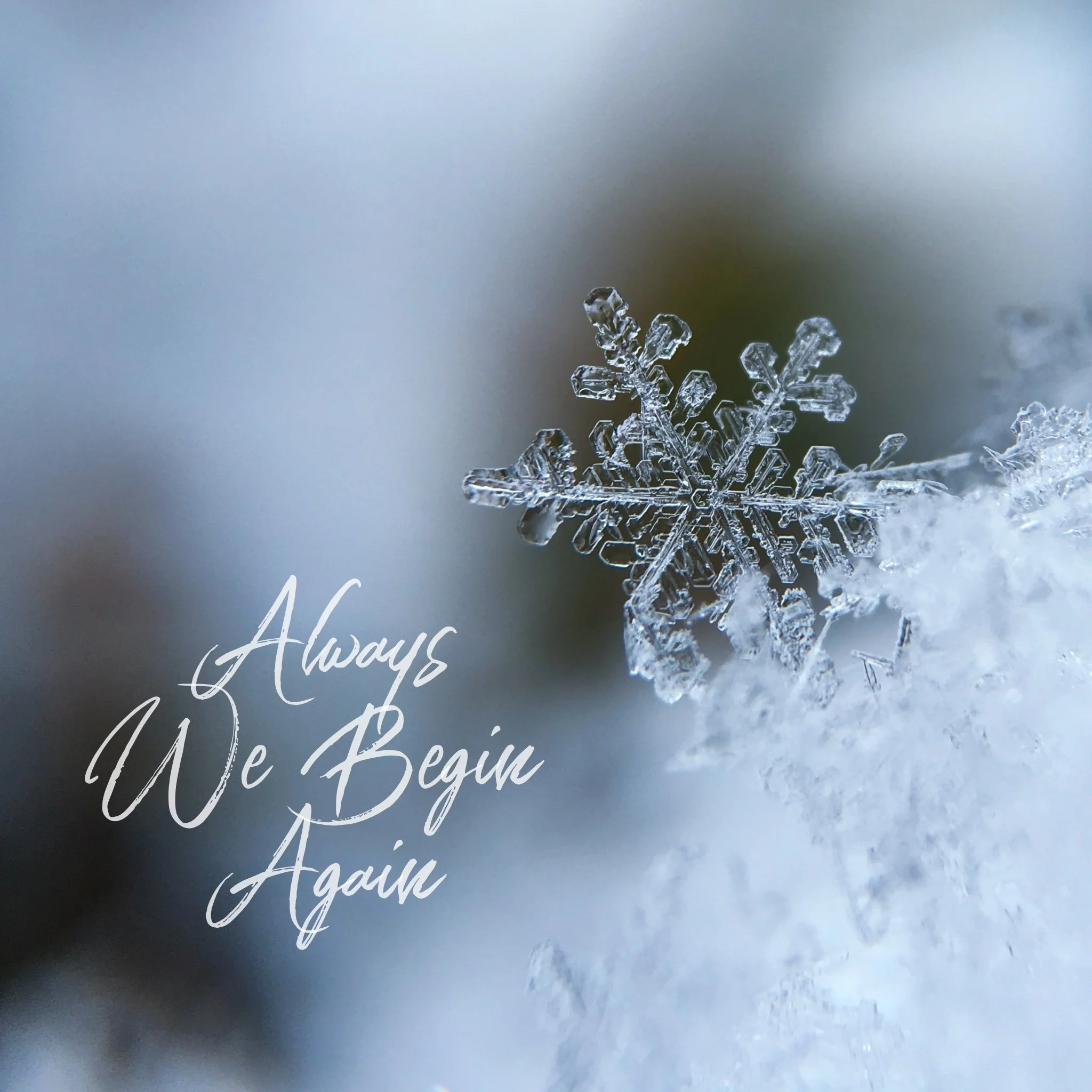 Always We Begin Again- a creative new year retreat on Zoom