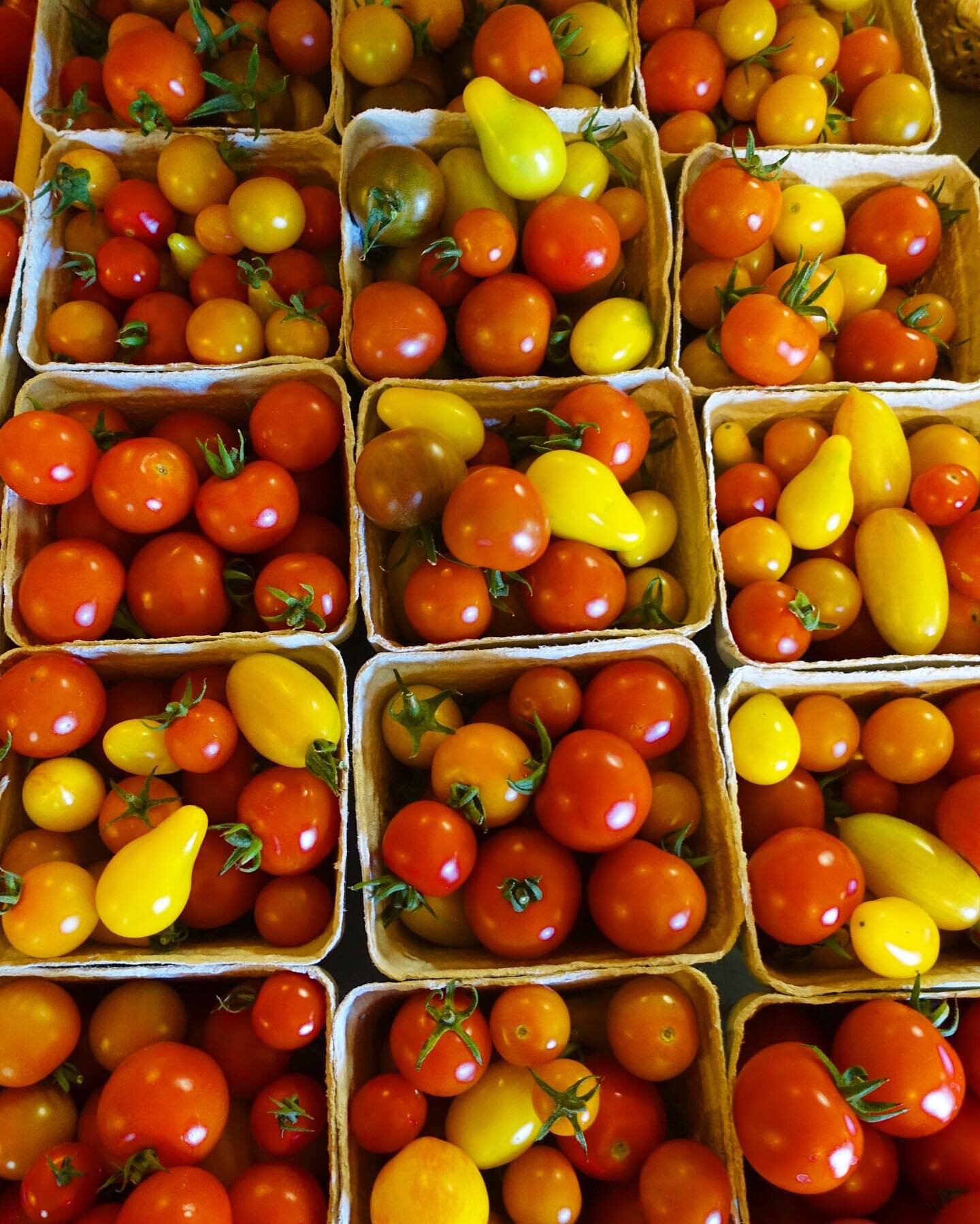 Our tomatoes are late this year but they are here now and we just need to enjoy them while they last!
#tomattider #kravtomater #tomatoesofinstagram