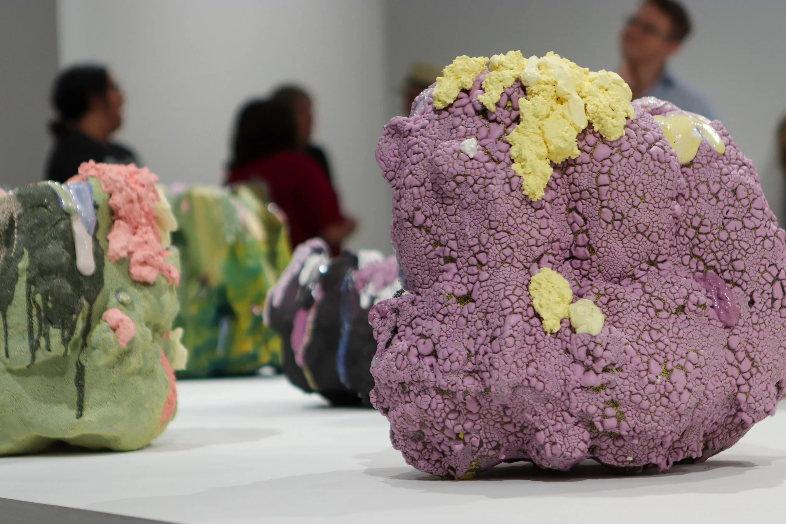 MCASB Opening night of Bloom Projects: Brian Rochefort, Absorption by the Sun , August 1, 2019. Photo by Debra Herrick.