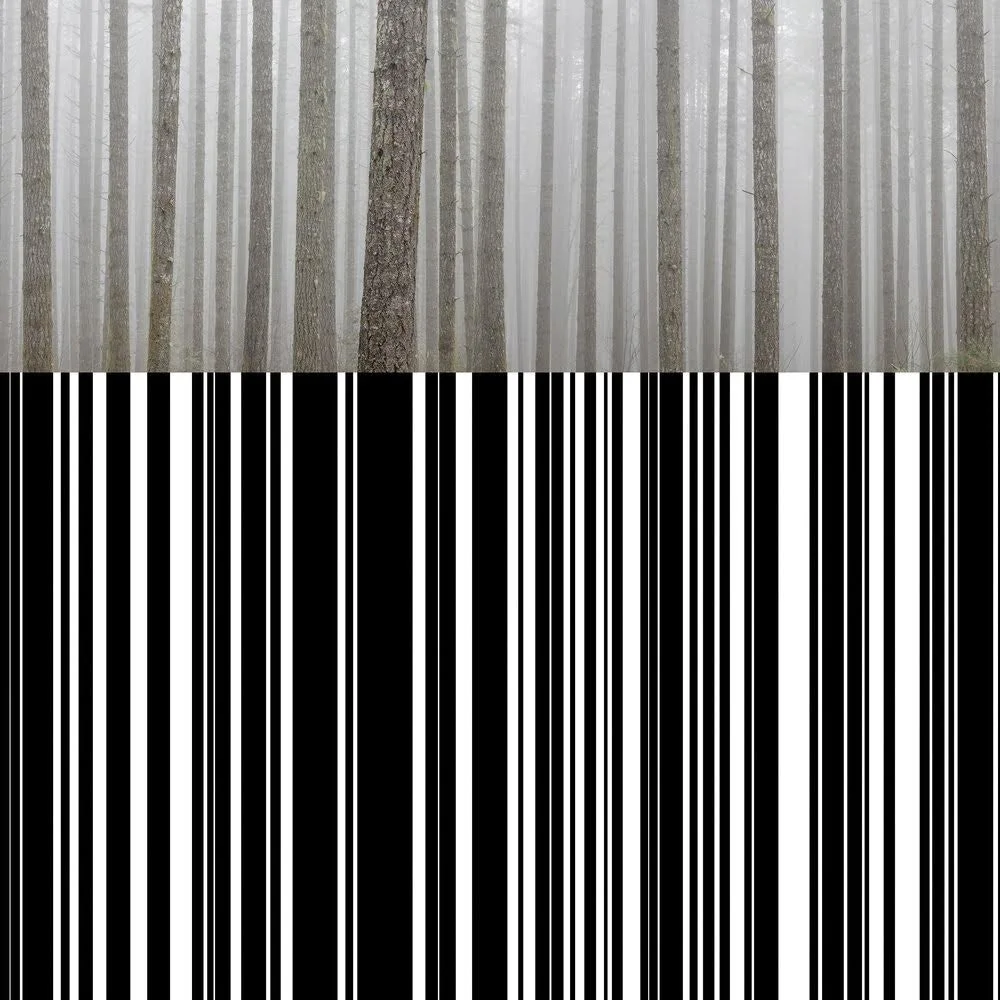 Art Dispatch • Stay Connected • Local Art Experiences Available Online