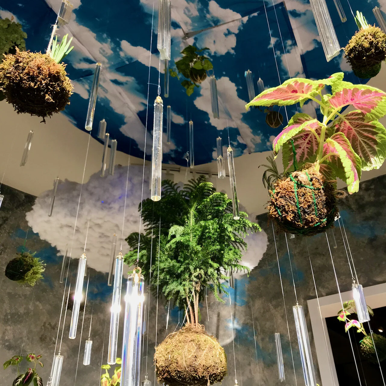 The Nature of Clouds: Holli Harmon at Wildling Museum