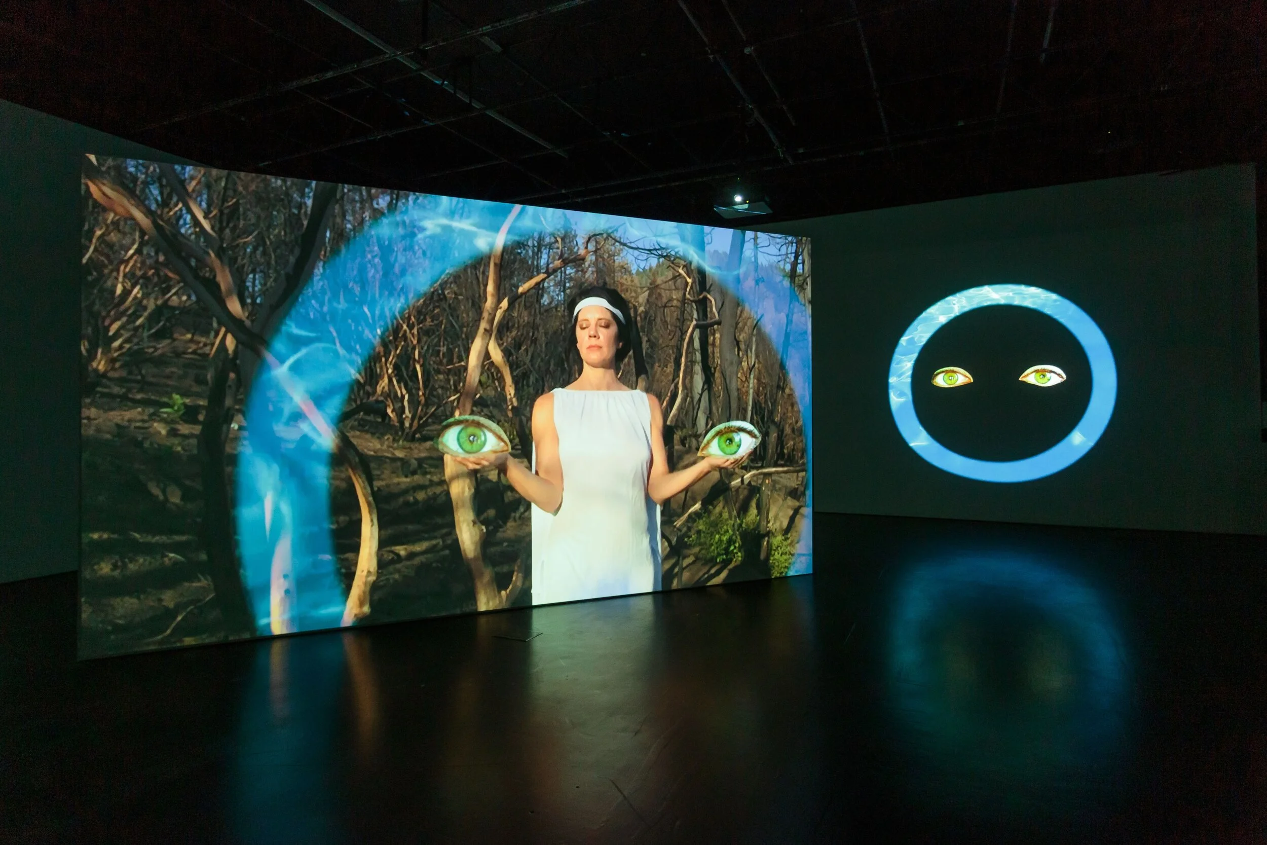 Shana Moulton Show Opens at Museum of Contemporary Art Santa Barbara