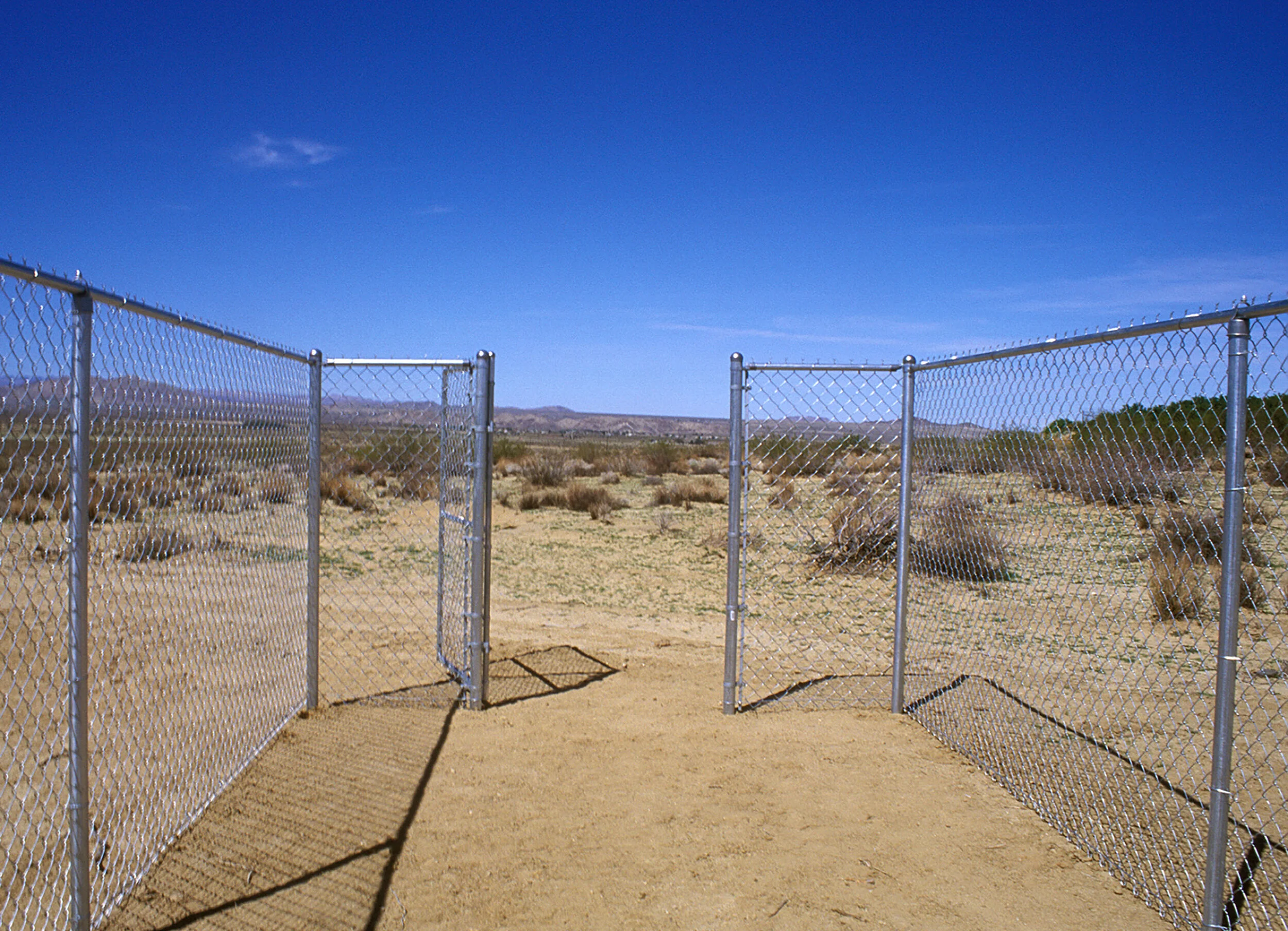 RT Livingston, CHAIN/LINK