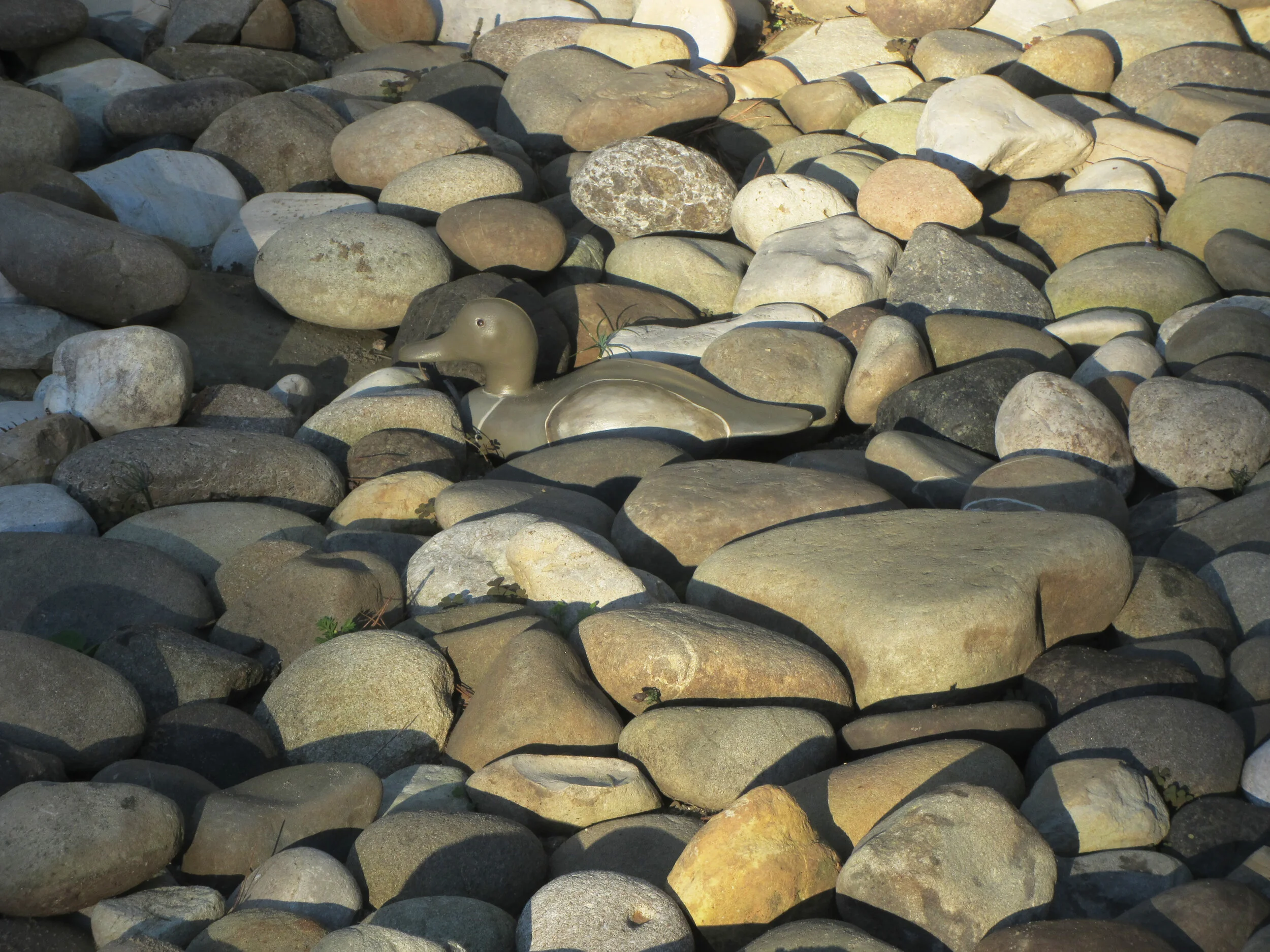 RT Livingston, SITTING DUCKS