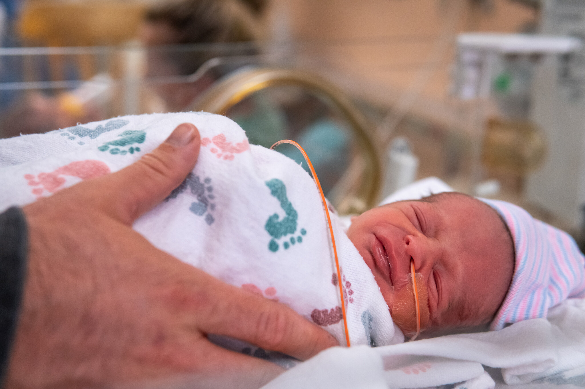 Harper&Hudson0280.jpg