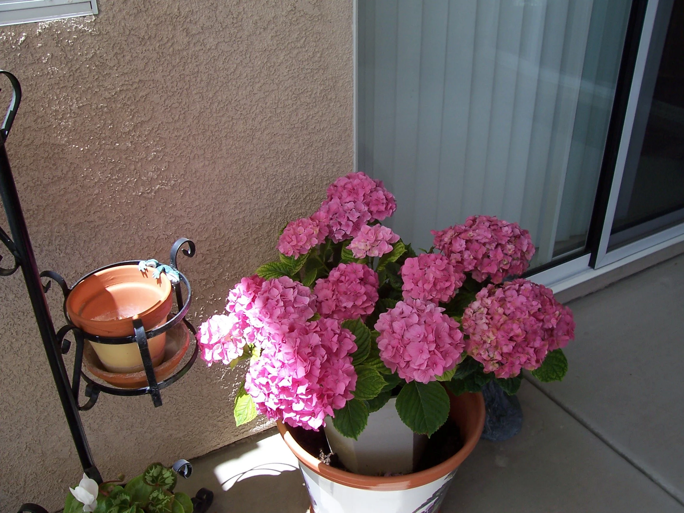 Nino 2004-2005-50.JPG