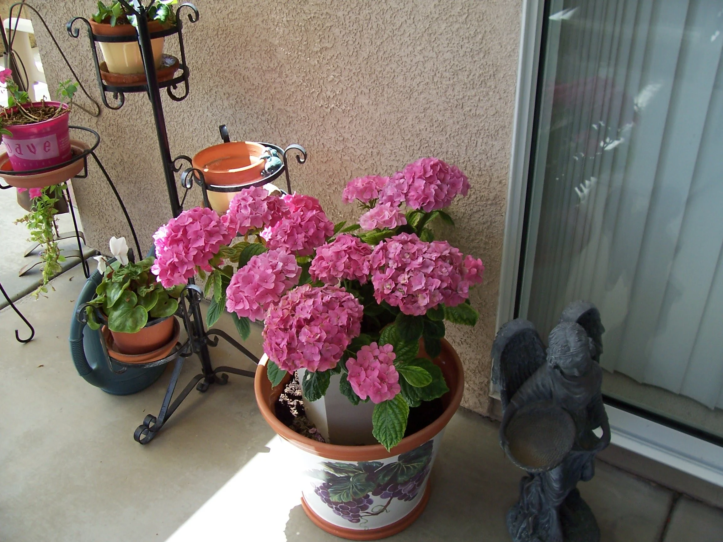 Nino 2004-2005-51.JPG