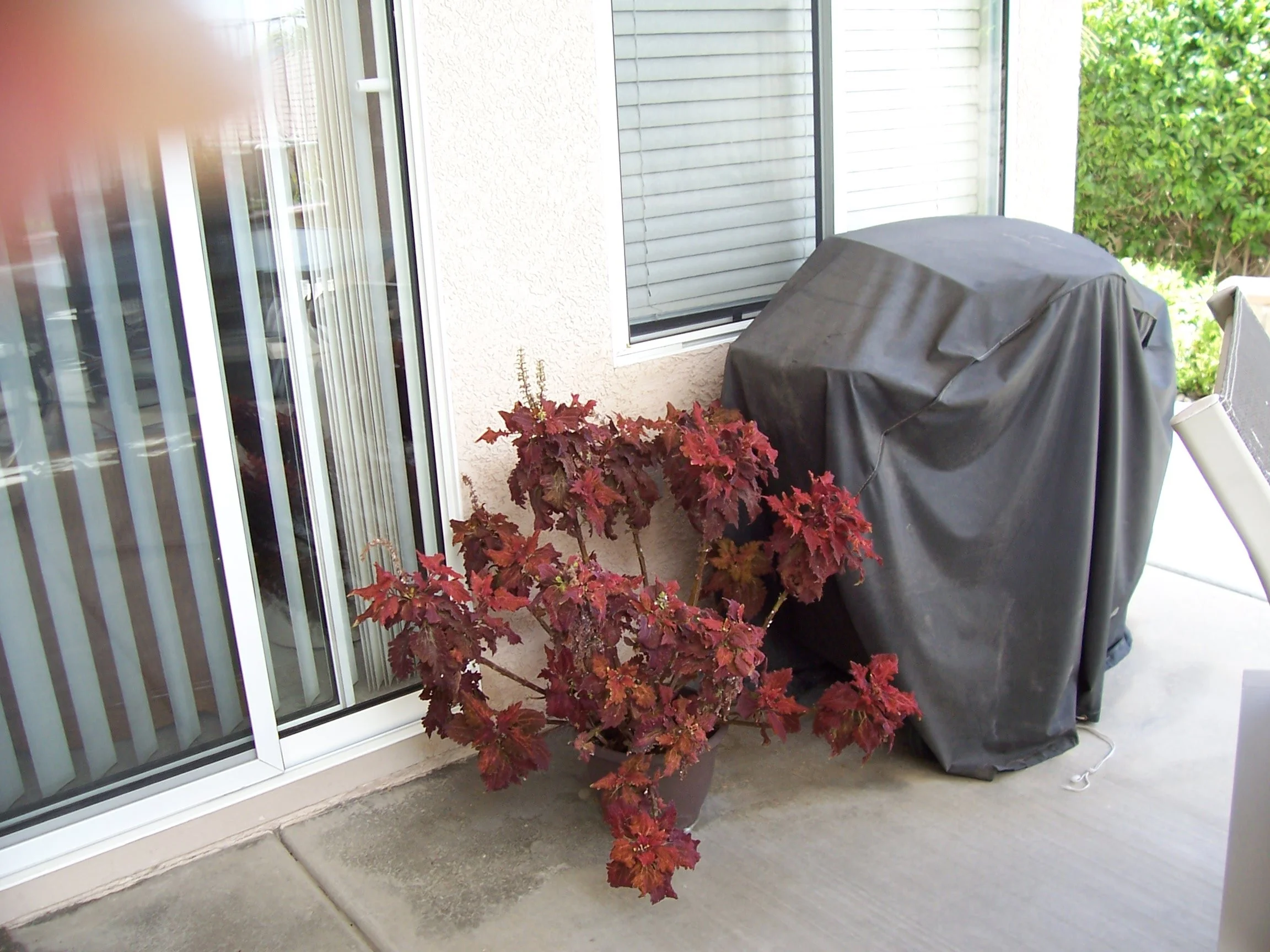 Nino 2004-2005-54.JPG