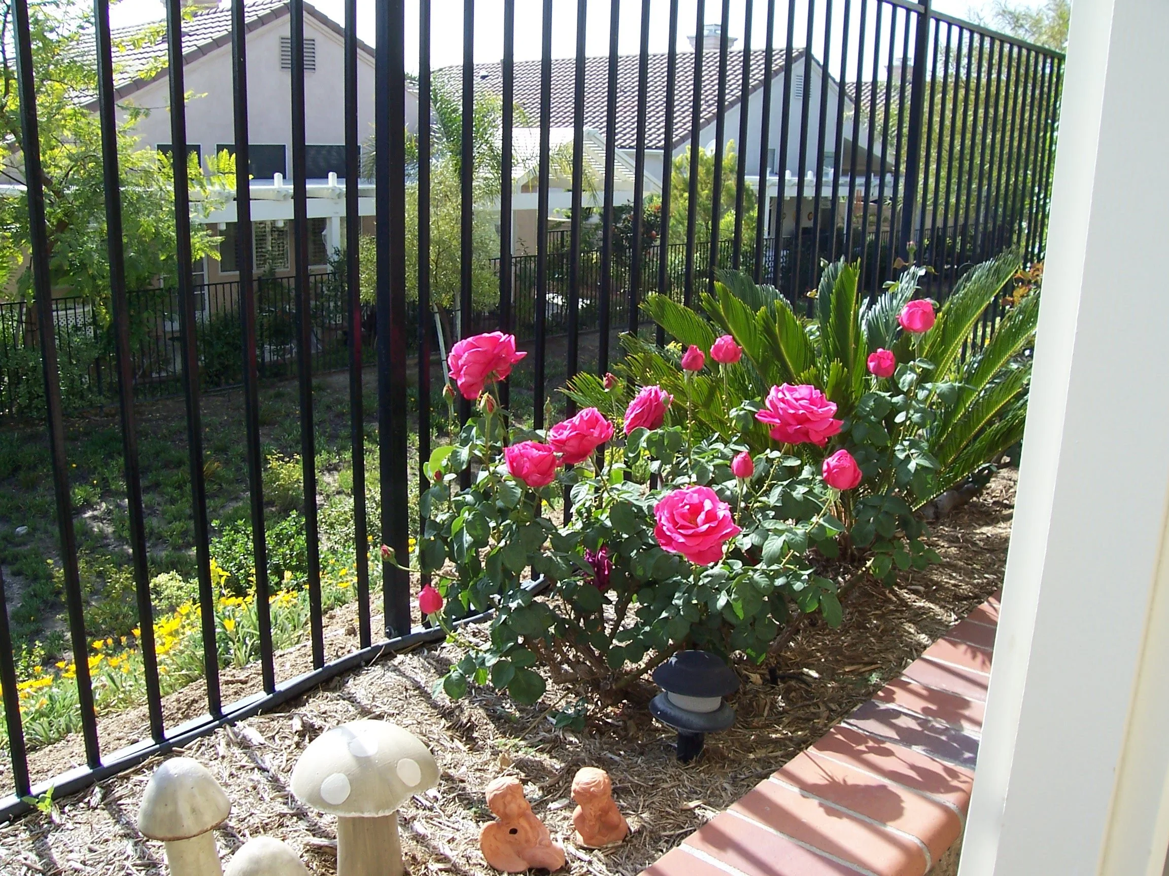 Nino 2004-2005-73.JPG