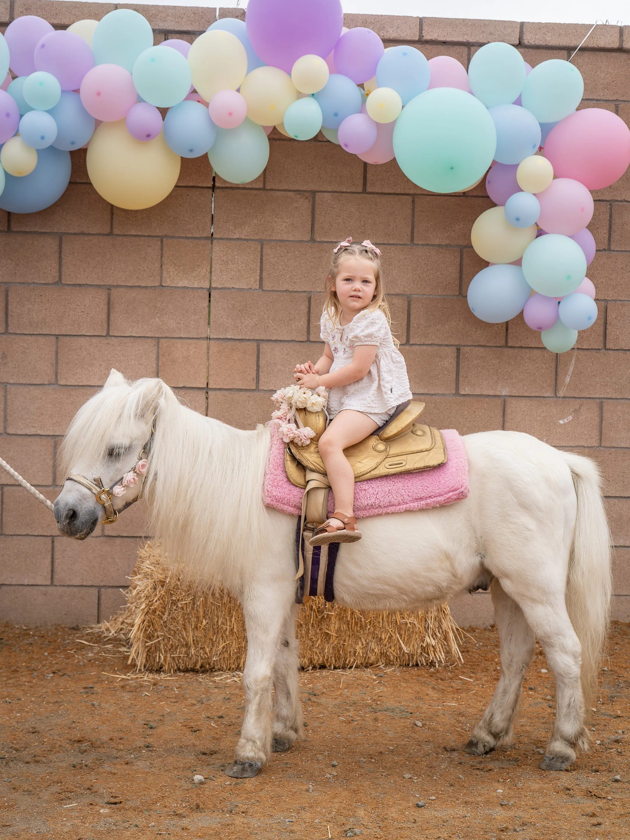 Emily-Nicole-Second-Bday-53.jpg