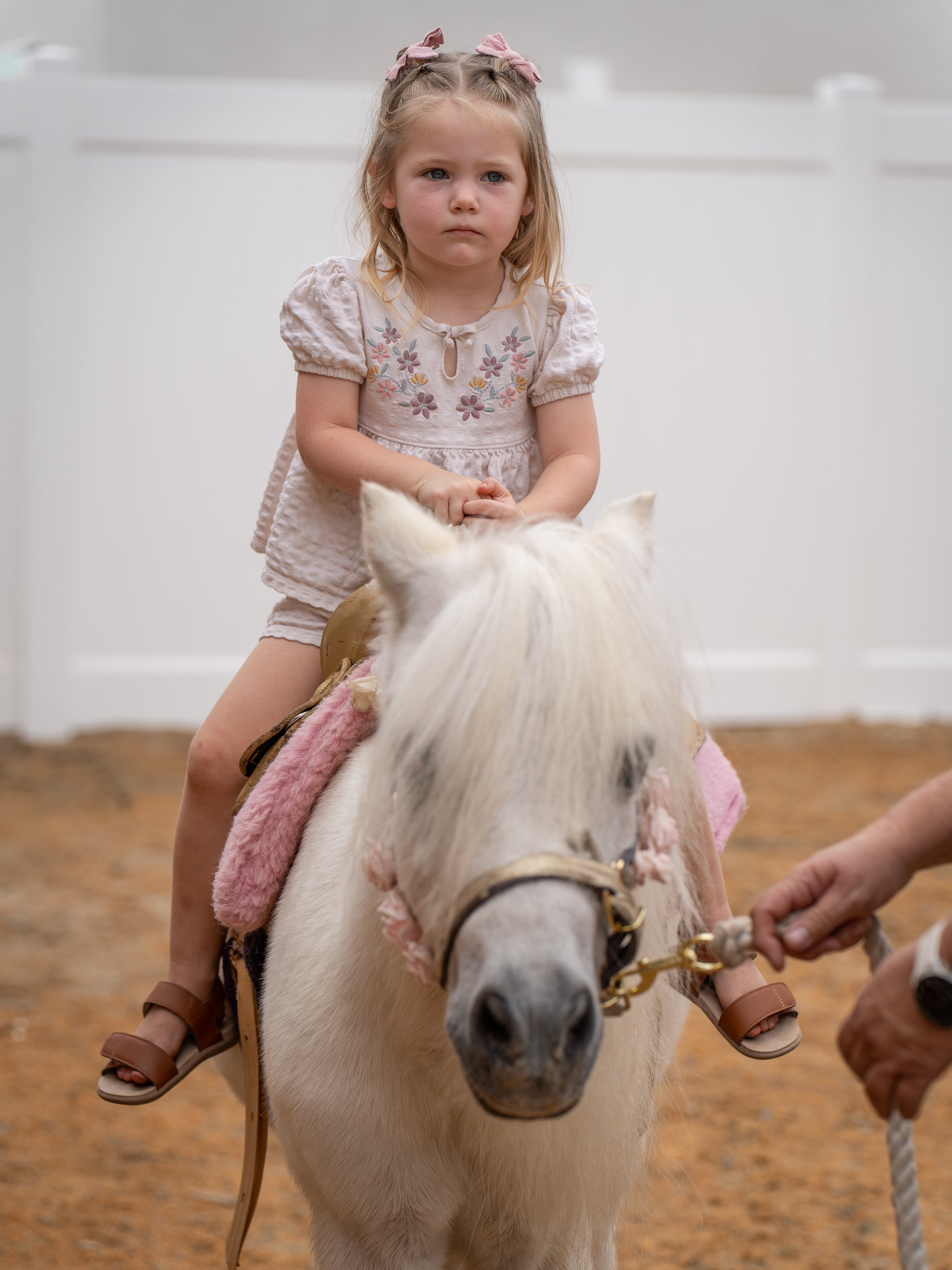Emily-Nicole-Second-Bday-54.jpg