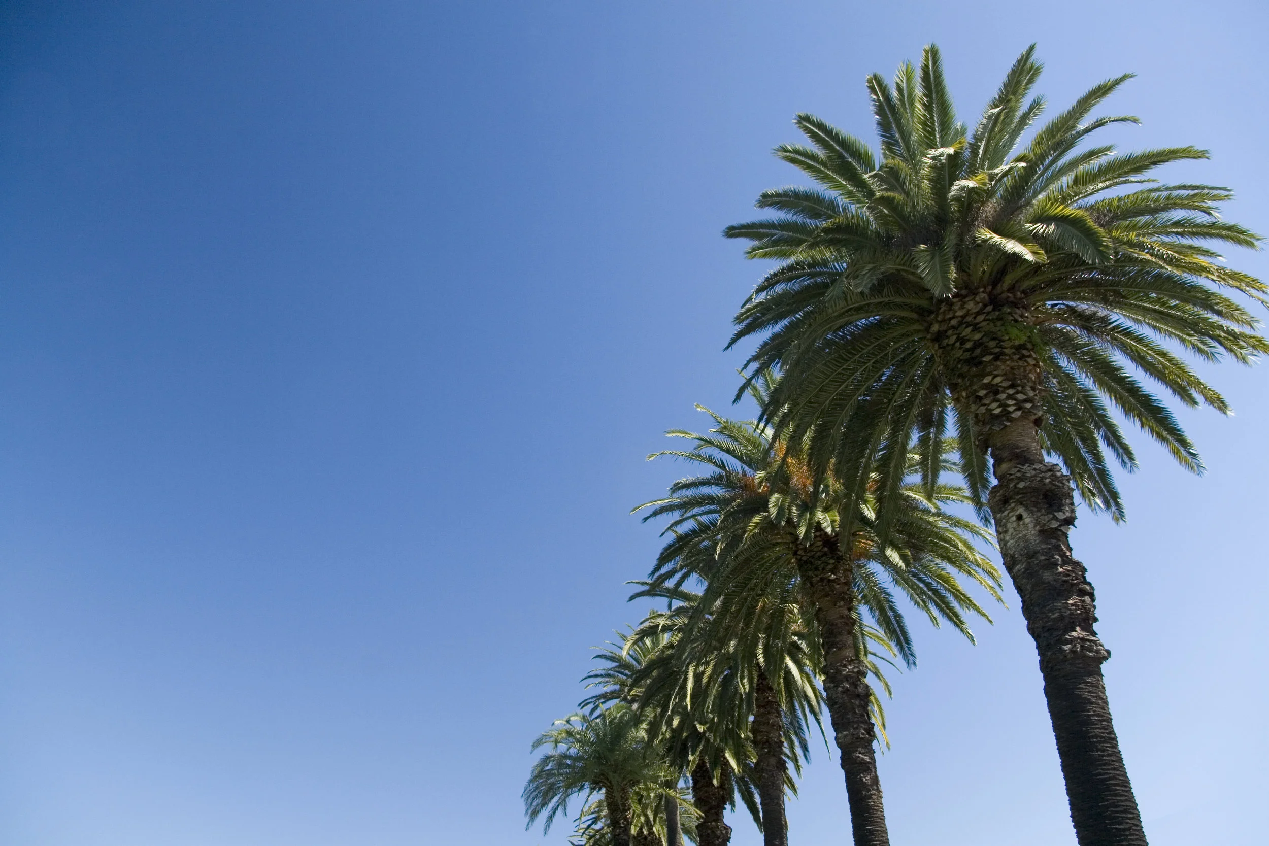 Can Blockchain Be the Missing Link in Greening the Real Estate Industry?