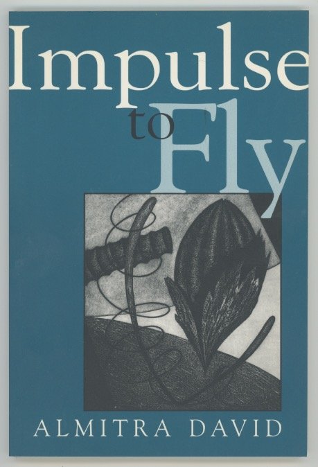 Impulse to Fly.jpeg