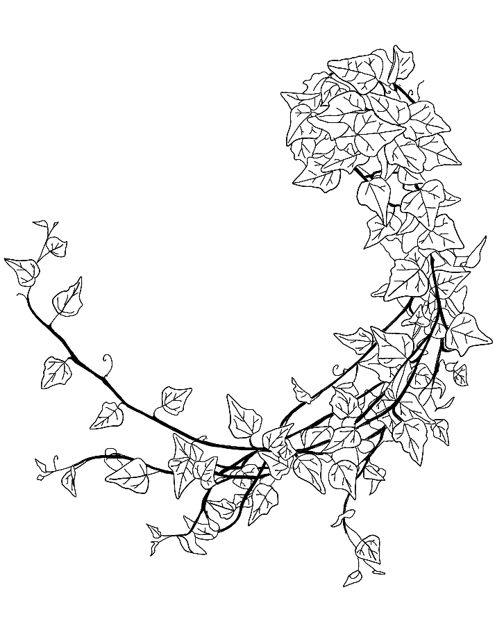 Untitled_Artwork 8.png