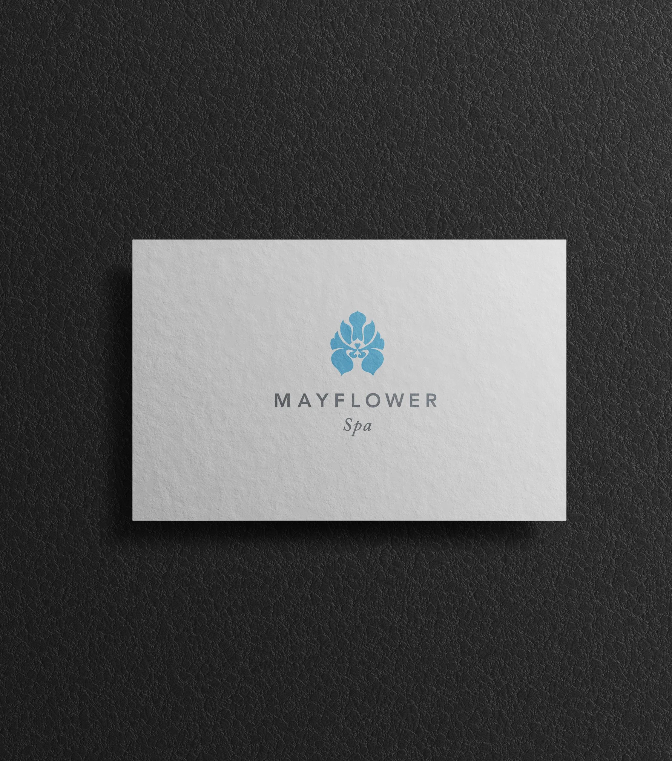 Card_Mayflower.jpg